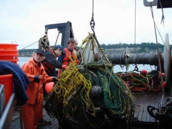 researching in pugent sound