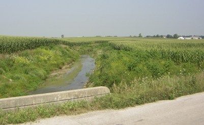 corn and stream